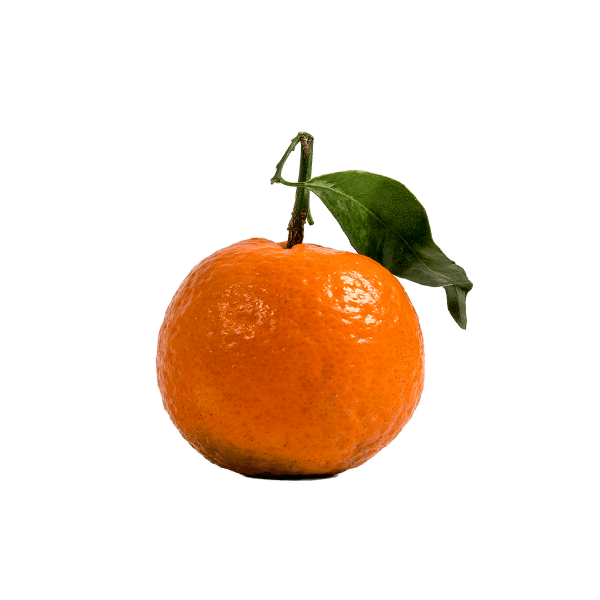 Clementine Stück
