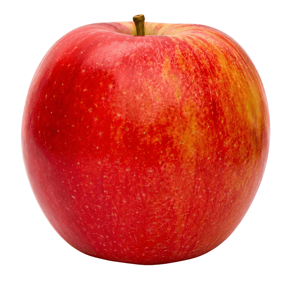 Apfel Gala Stück